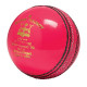 Cricket Cricket