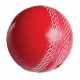 Cricket Kit Cricket Kit