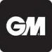 GM Sparq Cricket Bat Cricketschläger Kinder Jugend Grösse 4