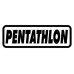 Pentathlon Dart Fly Set Schwarz