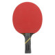 Tischtennis Tischtennis